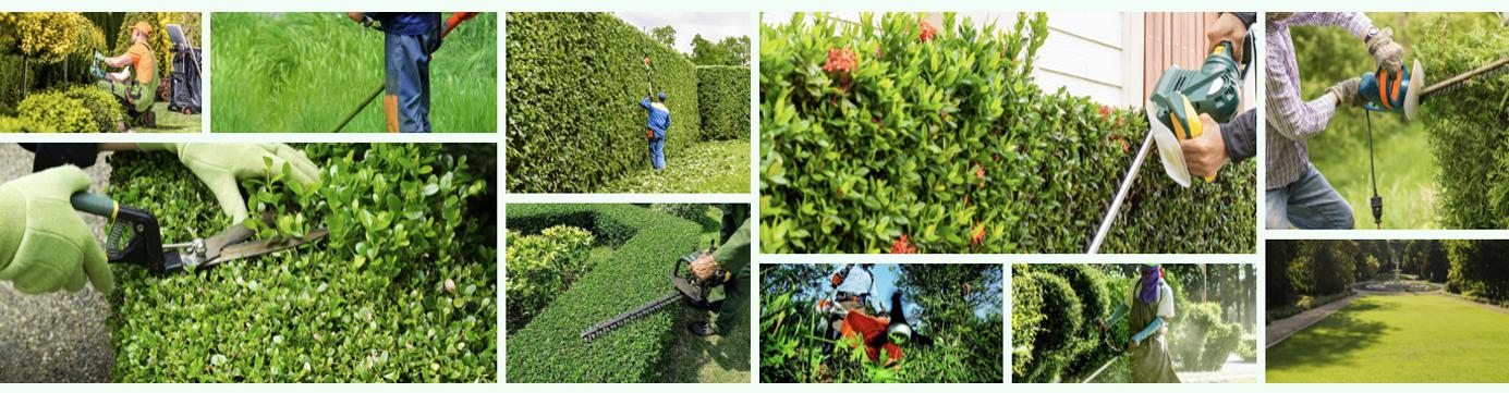 Réalisation Brion Espace Vert