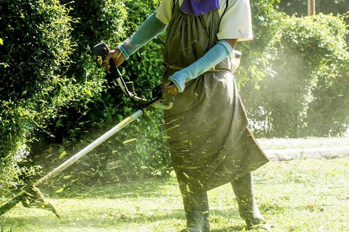 Brion Espace Vert - Elagueur 41 - elagueur 18 - Elagueur 36