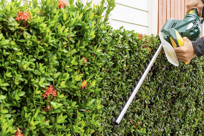 Brion Espace Vert - Elagueur 41 - elagueur 18 - Elagueur 36