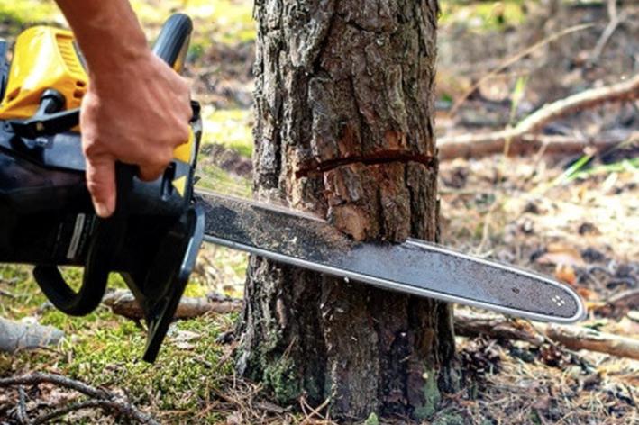 Brion Espace Vert - Elagueur 41 - elagueur 18 - Elagueur 36