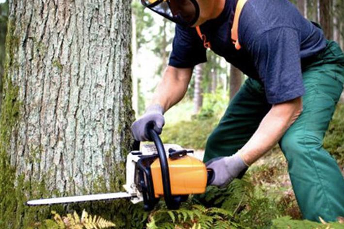 Brion Espace Vert - Elagueur 41 - elagueur 18 - Elagueur 36