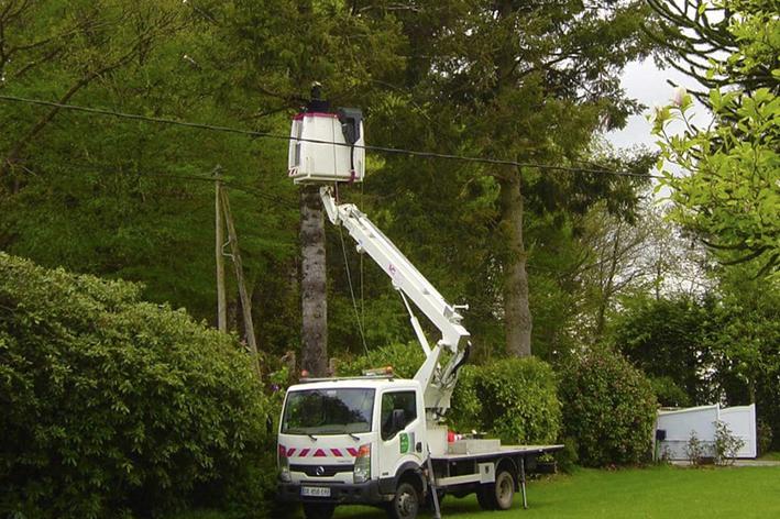 Elagage - Brion Espace Vert