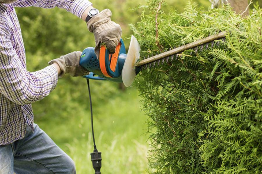 Entretien - Brion Espace Vert