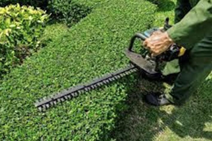 Entretien - Brion Espace Vert