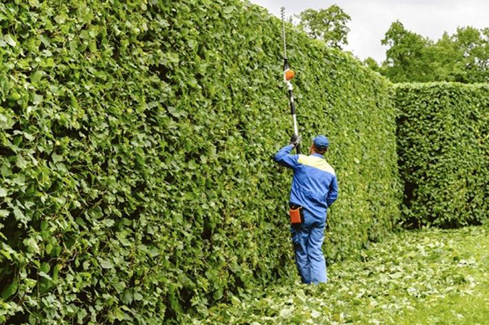 Entretien - Brion Espace Vert