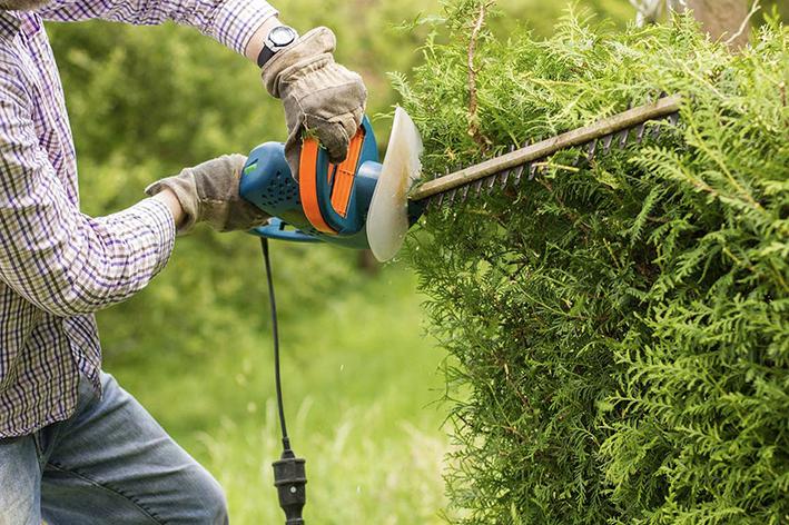 Entretien - Brion Espace Vert